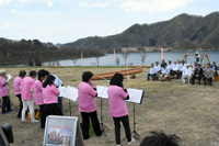 写真：森吉四季美湖 桜を見る会2