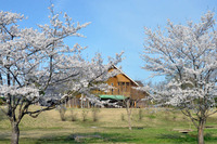 北欧の杜公園