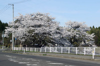 北秋田市民病院前