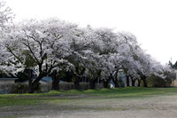 旧合川高校