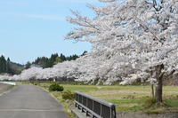 阿仁河川公園1