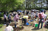 写真：第37回誕生の森記念植樹