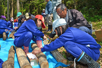 きのこの植菌体験を行った米内沢小学校の４年生（5月17日、米内沢滝ノ沢地内）2