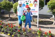 写真：人権の花運動3