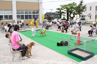 家庭犬のしつけかた教室