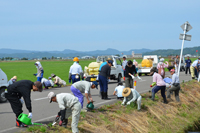 サルビア約4000本を植えた綴子地区農地・水・環境保全組織の花の植栽活動（綴子、稲穂ロード）2