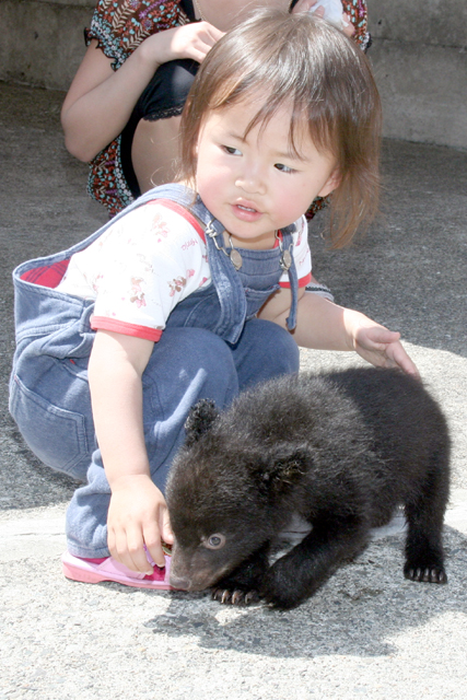 阿仁 マタギの里熊牧場 仔熊の保育園 北秋田市ホームページ 住民が主役のもりのまち