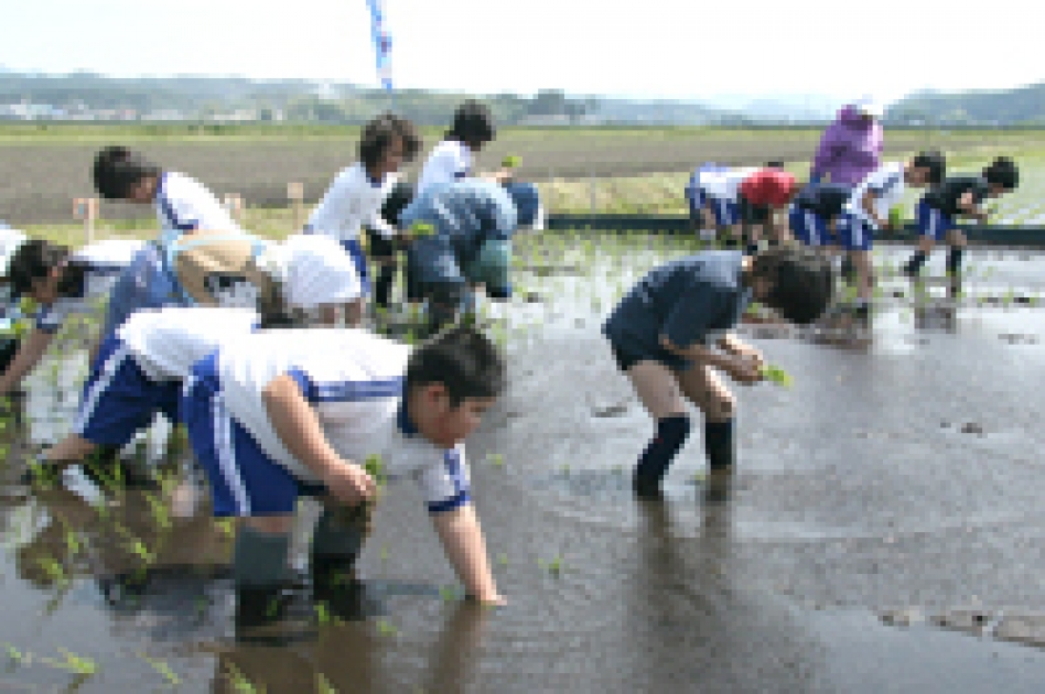 豊かな秋の稔りを願って | 北秋田市ホームページ 住民が主役のもりのまち