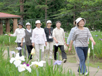 内陸線の乗車も兼ねて行なわれた、しょうぶウォーク（阿仁・花しょうぶ園）2