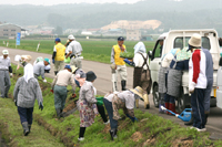 １０集落から５５０人が参加し綴子農免農道３．３kmの路肩に百日草約６２００本を植えた大太鼓の里保全隊の花の植栽活動（６日）2