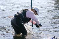 米代川で釣果を競う参加者たち（１０日、中岱橋上下流付近で）