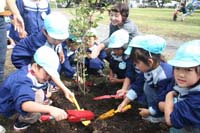 ナナカマドの苗木を植える岸部市長、県農林水産部の佐藤文隆部長（上）とウメモドキを植える園児ら（１０日、米代児童公園で）2