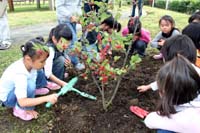 ナナカマドの苗木を植える岸部市長、県農林水産部の佐藤文隆部長（上）とウメモドキを植える園児ら（１０日、米代児童公園で）3