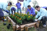 市民の手でマリーゴールドを植栽