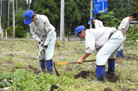 写真：グリーンメイク「ブナ植樹活動」2