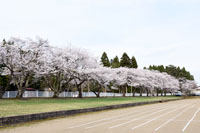 写真：綴子小学校1