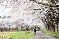 写真：阿仁河川公園1