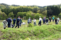 市民森づくり植樹事業