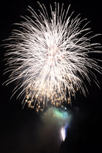 夜空に咲く大輪の花3