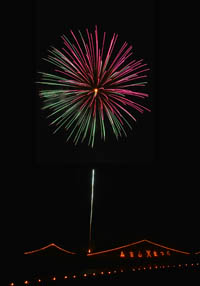 夜空に咲く大輪の花3