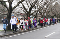 開花が待ち遠しい中央公園で「さくらウオーク」が開催（4月28日、中央公園）