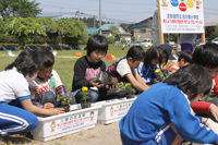 合川東小で行われた平成２３年度の人権の花運動植栽式（5月31日、合川東小学校）2