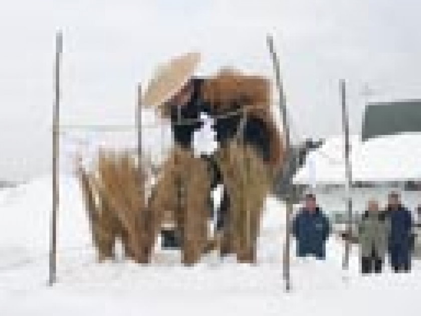 4293376cc13ea399117612eded4713