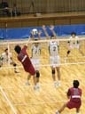 第１３回Ｖリーグ・第９回Ｖ１リーグ出場順位決定戦