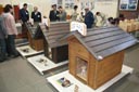 小さな人なら住めそうな犬小屋