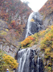 中ノ又渓谷の安の滝(やすのたき)の紅葉(1)