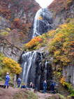 中ノ又渓谷の安の滝(やすのたき)の紅葉(2)