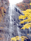 中ノ又渓谷の安の滝(やすのたき)の紅葉(4)