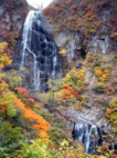 中ノ又渓谷の安の滝(やすのたき)の紅葉(5)