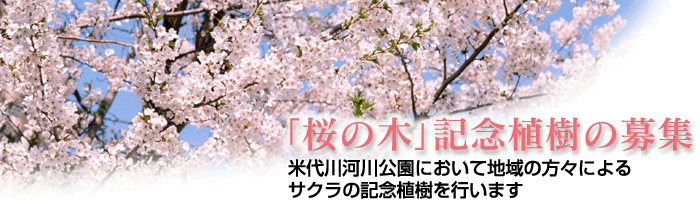 「桜の木」記念植樹の募集(1)