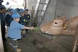 あいかわ保育園の園児たちの遠足のようす(2)