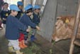 あいかわ保育園の園児たちの遠足のようす(3)
