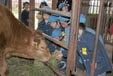 あいかわ保育園の園児たちの遠足のようす(4)