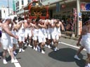 鷹巣神社の祭典(みこしの巡行2)