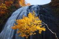 安の滝5