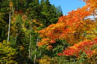 太平湖・小又峡4