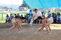 前田小学校校内相撲大会