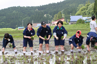 田植え、その①