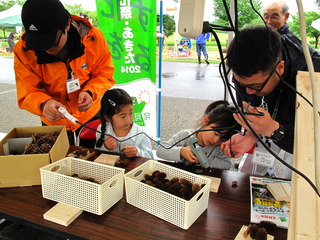 第７回東北チェンソーアート競技大会4