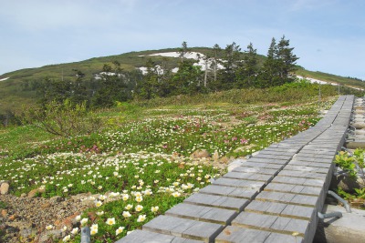 森吉山 [51KB]