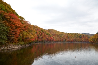 紅葉の太平湖