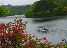 新緑の太平湖