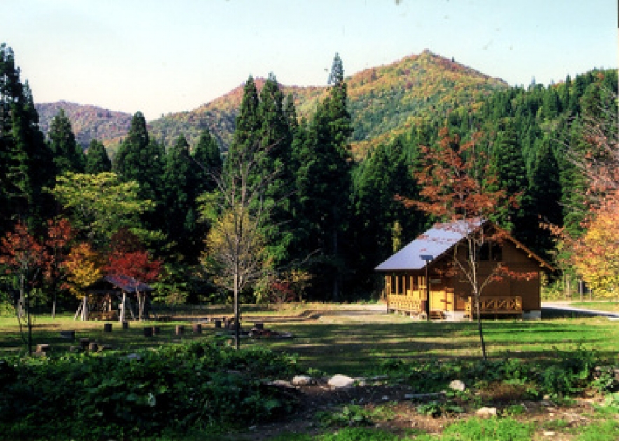 100㎡》森林浴オート区画【JS】 - 本栖湖 SUMIKA CAMP FIELD
