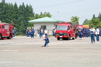 自動車ポンプ操法部門