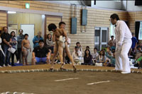 学童相撲大会1