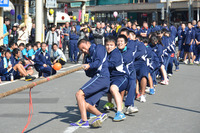 大綱引き大会2015・キッチンカー＆スーパー軽トラ市